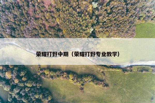 荣耀打野中期(荣耀打野专业教学) 荣耀打野中期(荣耀打野专业教学)