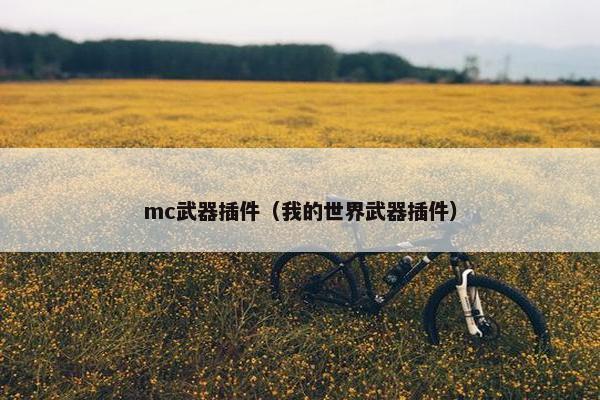 mc武器插件（我的世界武器插件）