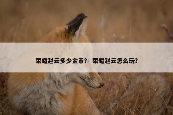 荣耀赵云多少金币? 荣耀赵云怎么玩? 荣耀赵云多少金币? 荣耀赵云怎么玩?