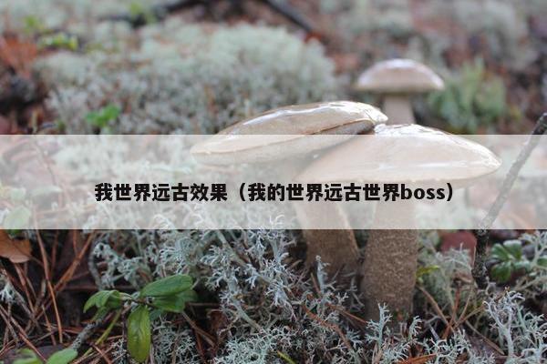 我世界远古效果（我的世界远古世界boss）