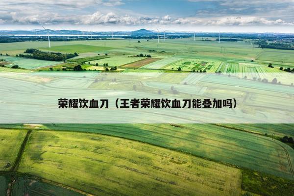 荣耀饮血刀（王者荣耀饮血刀能叠加吗）