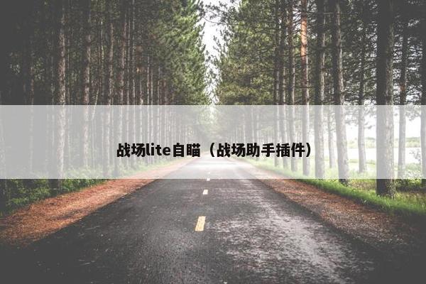 战场lite自瞄（战场助手插件）