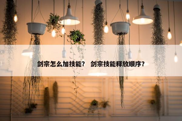 剑宗怎么加技能？ 剑宗技能释放顺序？