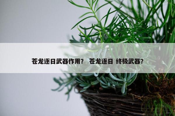 苍龙逐日武器作用? 苍龙逐日 终极武器? 苍龙逐日武器作用? 苍龙逐日 终极武器?
