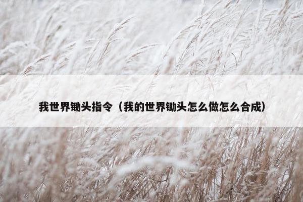 我世界锄头指令（我的世界锄头怎么做怎么合成）