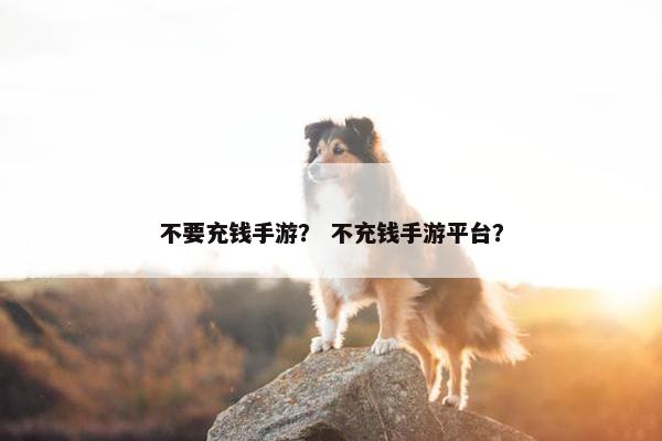 不要充钱手游？ 不充钱手游平台？