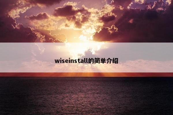 wiseinstall的简单介绍 wiseinstall的简单介绍