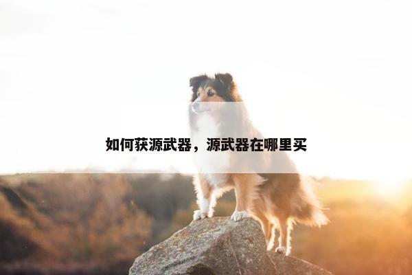 如何获源武器，源武器在哪里买