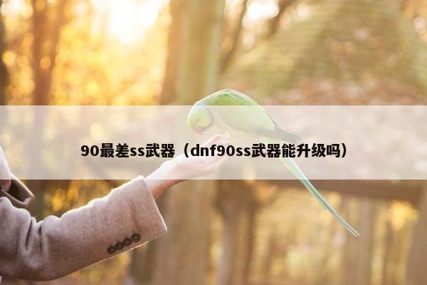 90最差ss武器（dnf90ss武器能升级吗）