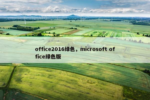 office2016绿色，microsoft office绿色版