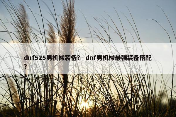 dnf525男机械装备？ dnf男机械最强装备搭配？