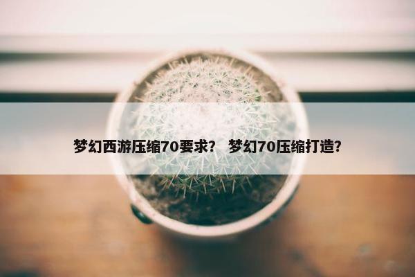梦幻西游压缩70要求? 梦幻70压缩打造? 梦幻西游压缩70要求? 梦幻70压缩打造?