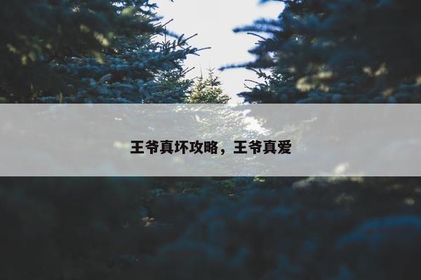 王爷真坏攻略,王爷真爱 王爷真坏攻略,王爷真爱