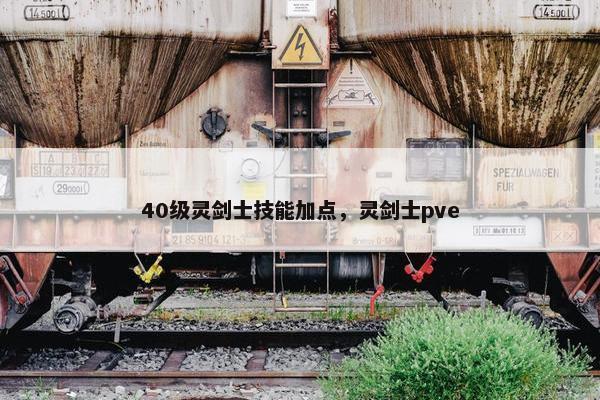 40级灵剑士技能加点,灵剑士pve 40级灵剑士技能加点,灵剑士pve