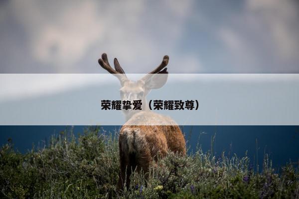 荣耀挚爱(荣耀致尊) 荣耀挚爱(荣耀致尊)