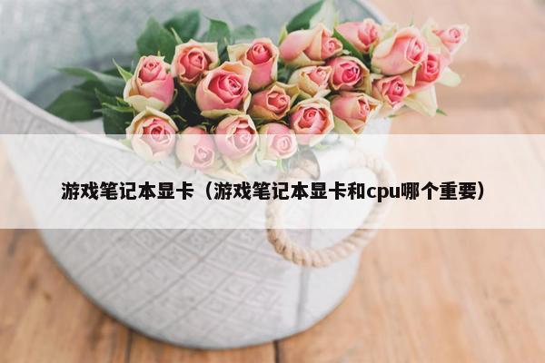 游戏笔记本显卡(游戏笔记本显卡和cpu哪个重要) 游戏笔记本显卡(游戏笔记本显卡和cpu哪个重要)