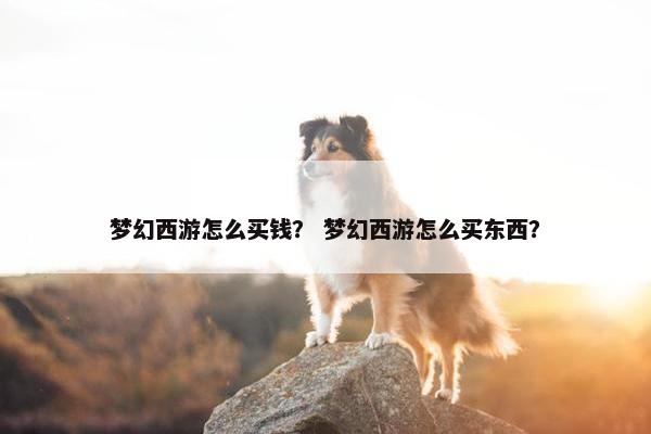 梦幻西游怎么买钱? 梦幻西游怎么买东西? 梦幻西游怎么买钱? 梦幻西游怎么买东西?