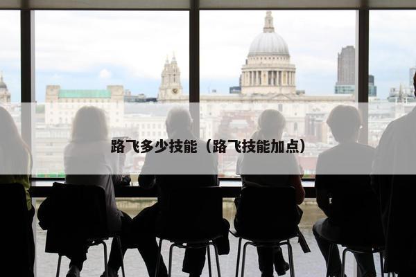 路飞多少技能（路飞技能加点）