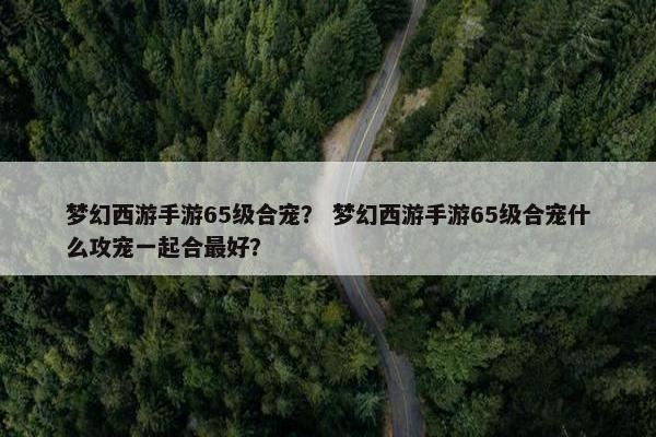 梦幻西游手游65级合宠？ 梦幻西游手游65级合宠什么攻宠一起合最好？