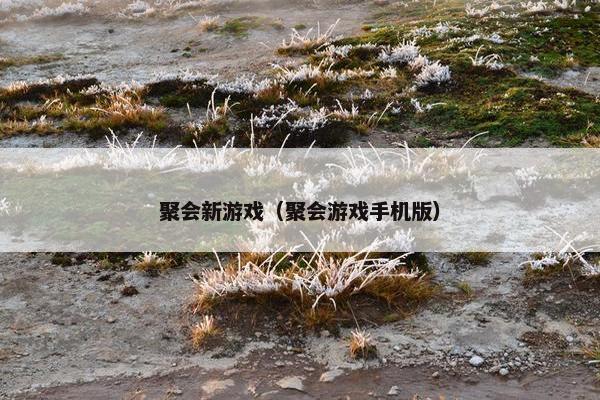 聚会新游戏（聚会游戏手机版）
