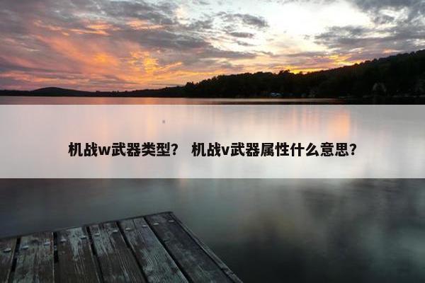 机战w武器类型? 机战v武器属性什么意思? 机战w武器类型? 机战v武器属性什么意思?