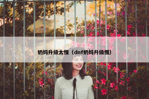 奶妈升级太慢(dnf奶妈升级慢) 奶妈升级太慢(dnf奶妈升级慢)