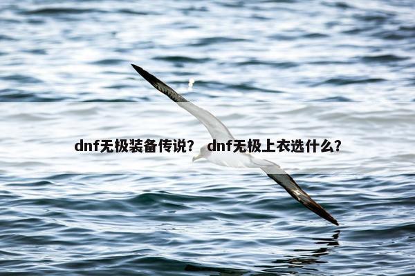 dnf无极装备传说? dnf无极上衣选什么? dnf无极装备传说? dnf无极上衣选什么?