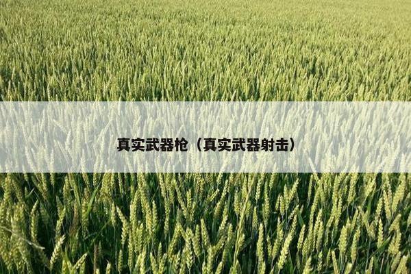 真实武器枪(真实武器射击) 真实武器枪(真实武器射击)