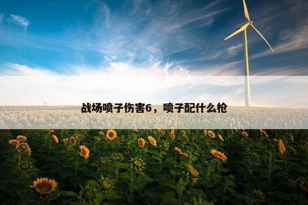 战场喷子伤害6,喷子配什么枪 战场喷子伤害6,喷子配什么枪