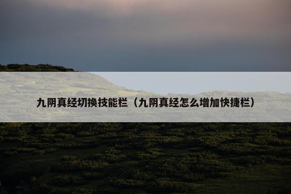 九阴真经切换技能栏(九阴真经怎么增加快捷栏) 九阴真经切换技能栏(九阴真经怎么增加快捷栏)