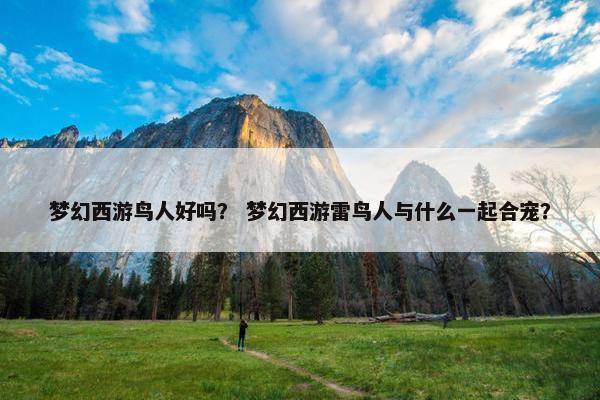 梦幻西游鸟人好吗? 梦幻西游雷鸟人与什么一起合宠? 梦幻西游鸟人好吗? 梦幻西游雷鸟人与什么一起合宠?