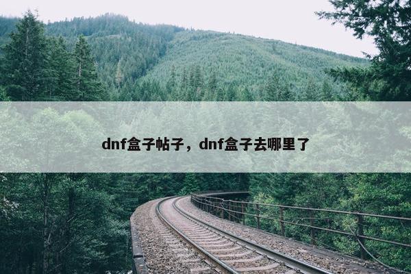 dnf盒子帖子,dnf盒子去哪里了 dnf盒子帖子,dnf盒子去哪里了