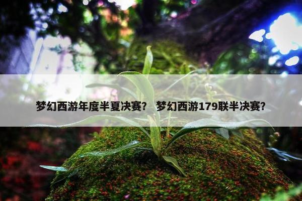梦幻西游年度半夏决赛？ 梦幻西游179联半决赛？