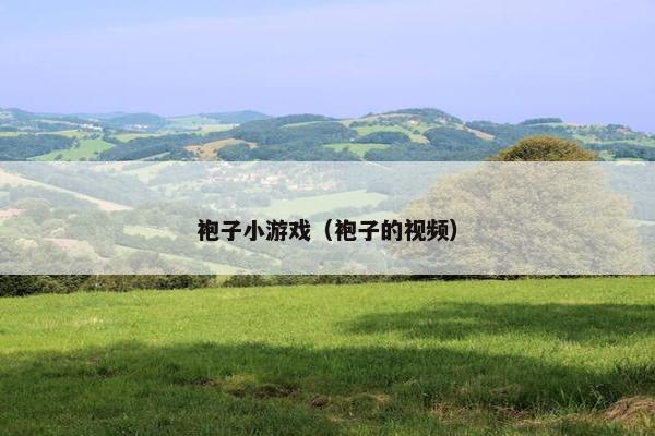 袍子小游戏（袍子的视频）