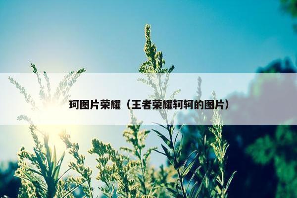 珂图片荣耀(王者荣耀轲轲的图片) 珂图片荣耀(王者荣耀轲轲的图片)