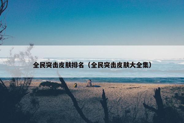 全民突击皮肤排名(全民突击皮肤大全集) 全民突击皮肤排名(全民突击皮肤大全集)
