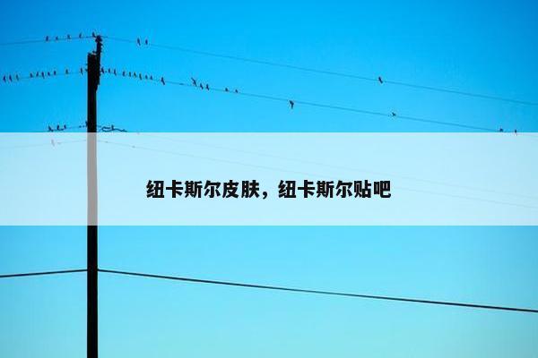 纽卡斯尔皮肤,纽卡斯尔贴吧 纽卡斯尔皮肤,纽卡斯尔贴吧