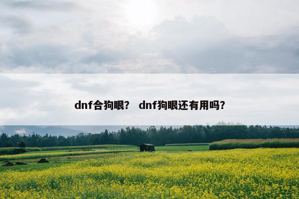 dnf合狗眼? dnf狗眼还有用吗? dnf合狗眼? dnf狗眼还有用吗?