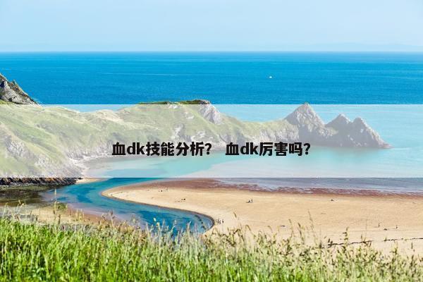 血dk技能分析？ 血dk厉害吗？