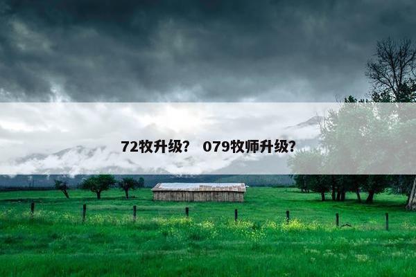 72牧升级？ 079牧师升级？