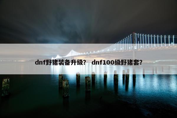 dnf野猪装备升级? dnf100级野猪套? dnf野猪装备升级? dnf100级野猪套?