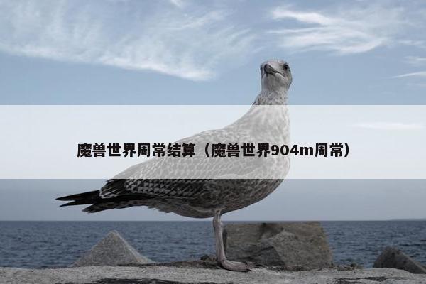 魔兽世界周常结算(魔兽世界904m周常) 魔兽世界周常结算(魔兽世界904m周常)