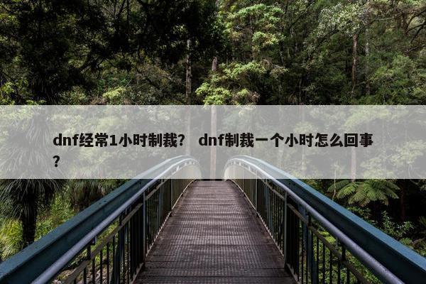 dnf经常1小时制裁？ dnf制裁一个小时怎么回事？