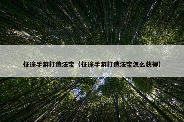 征途手游打造法宝(征途手游打造法宝怎么获得) 征途手游打造法宝(征途手游打造法宝怎么获得)
