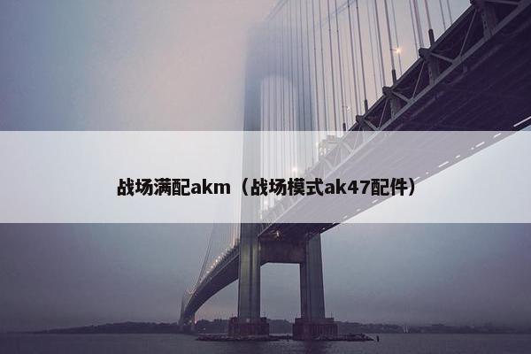 战场满配akm（战场模式ak47配件）
