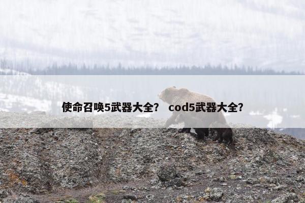 使命召唤5武器大全? cod5武器大全? 使命召唤5武器大全? cod5武器大全?
