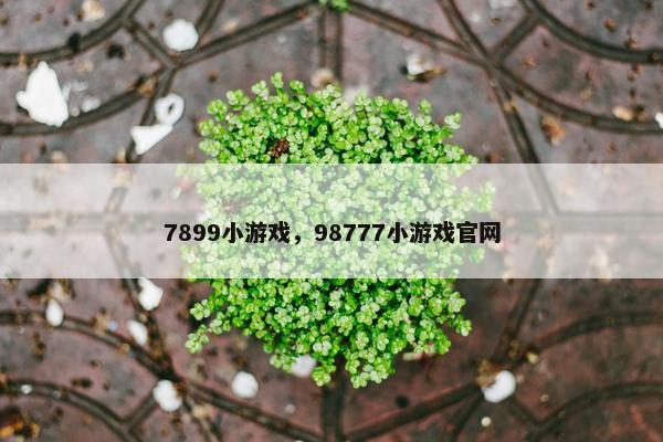 7899小游戏,98777小游戏官网 7899小游戏,98777小游戏官网