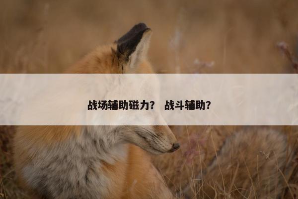 战场辅助磁力？ 战斗辅助？