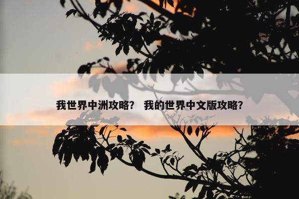我世界中洲攻略？ 我的世界中文版攻略？