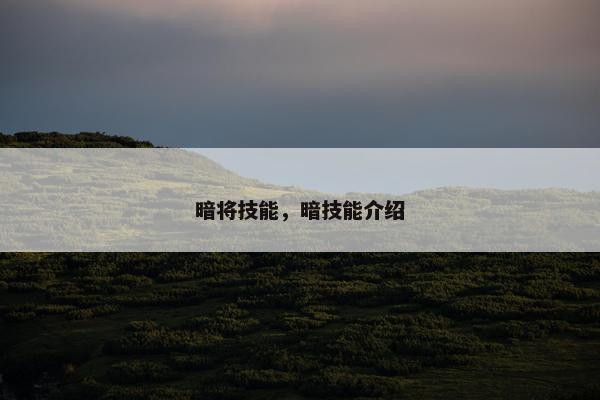 暗将技能，暗技能介绍